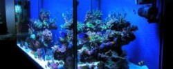 Как выбрать настольную лампу для ребенка