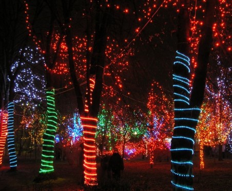 светодиодная подсветка деревьев