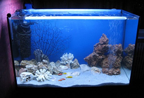 светодиодная лента аквариум