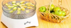 Как выбрать топливо для дизельного генератора
